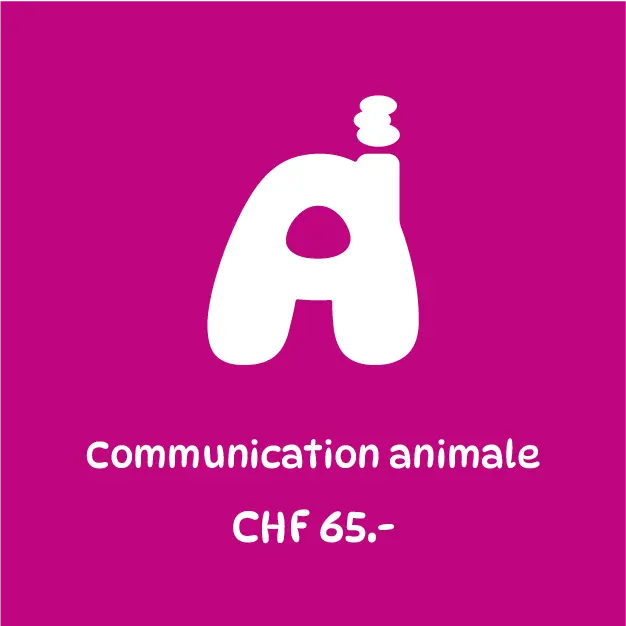 Communication faite dans les 7 jours | CHF 65.-